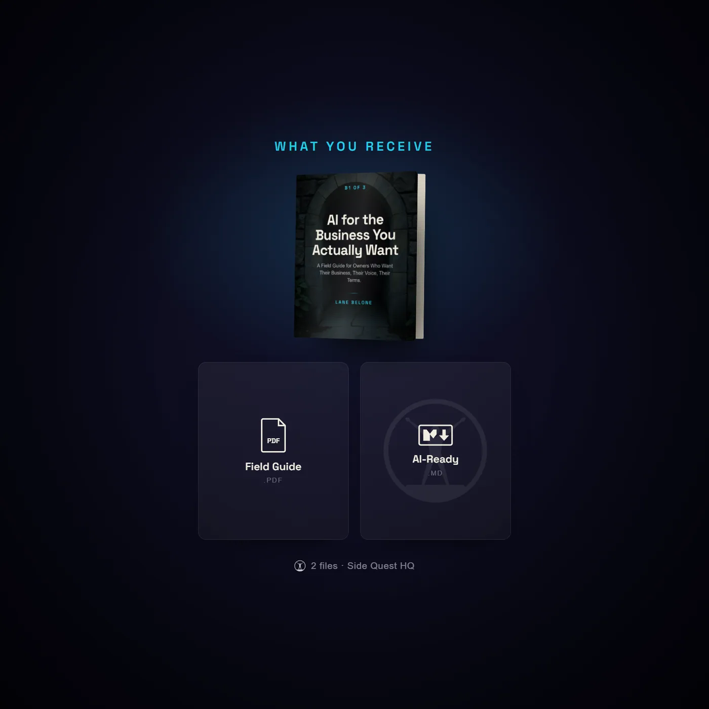 AI for the Business You Actually Want - what you receive: the full file set