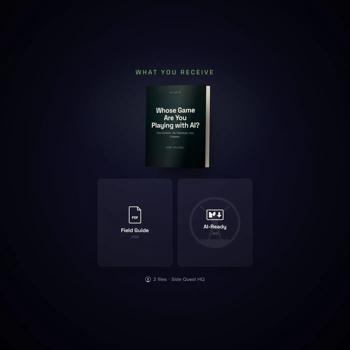 Whose Game Are You Playing with AI? - what you receive: the full file set